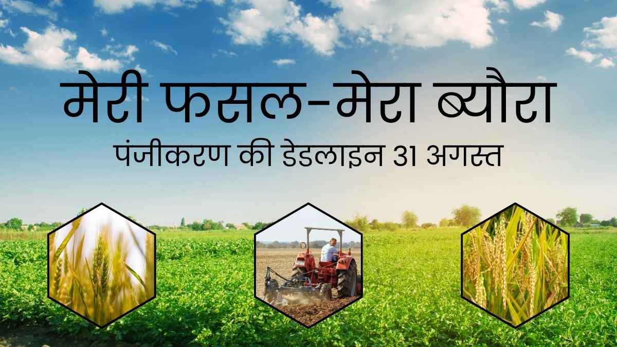 राजस्थान के किसानों को नहीं मिल रहा फसल क्षति का उचित मुआवजा, बीमा कंपनियों पर गंभीर आरोप