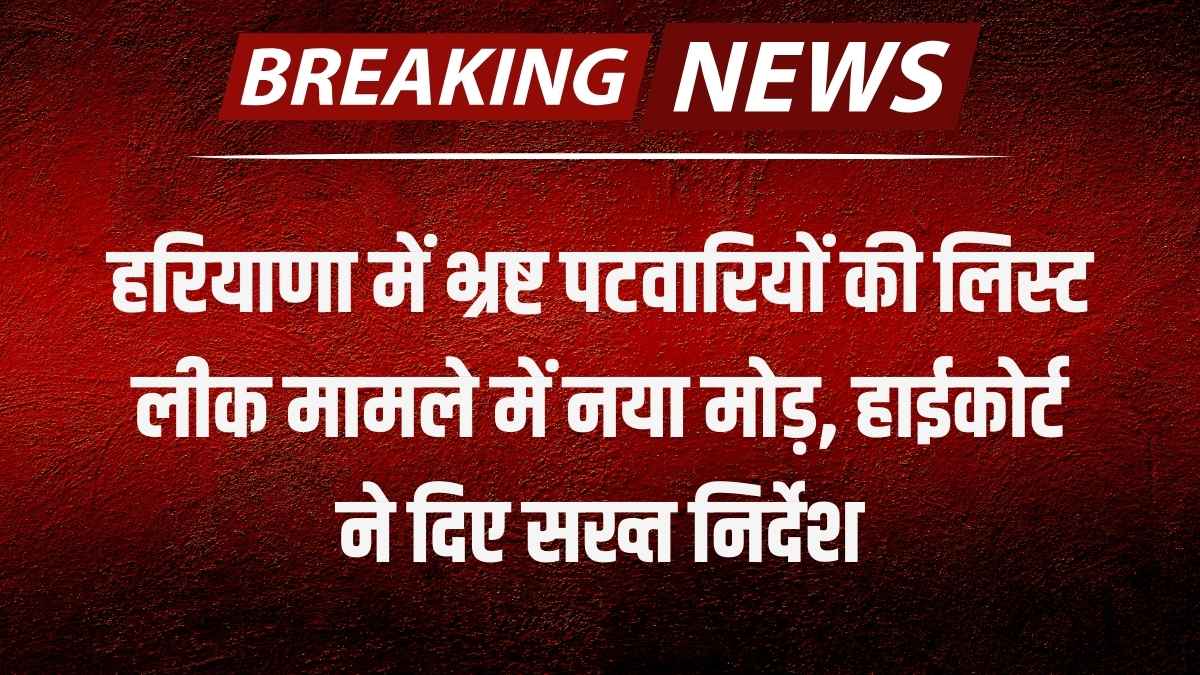 Netweb Share Price में अचानक देखी तेजी ने निवेशकों का ध्यान खींचा , जानें वर्तमान वित्तीय स्थिति