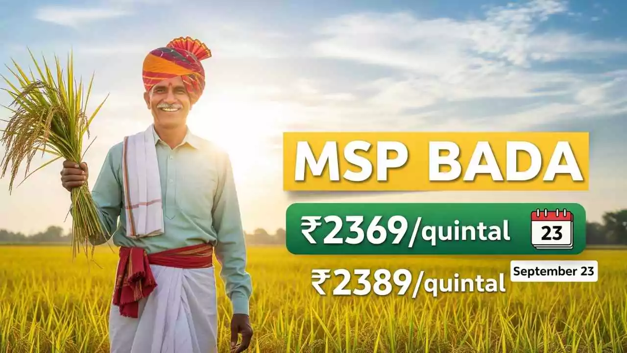 2025 रॉयल एनफील्ड मिटियोर 350 हुई लॉन्च न्यू लुक और एडवांस फीचर्स के साथ आई मार्केट में