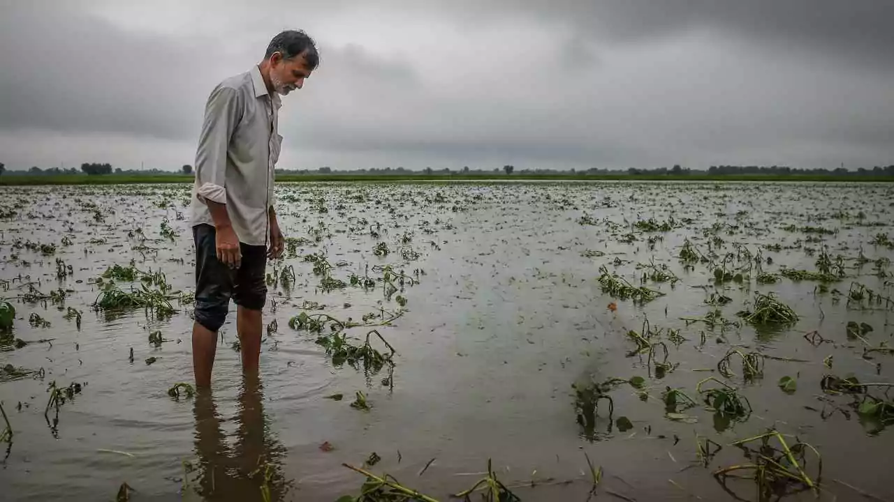 हरियाणा में बाढ़ से हुए नुकसान की होगी ड्रोन मैपिंग, सभी किसानों को मिलेगा नुकसान का मुवावजा