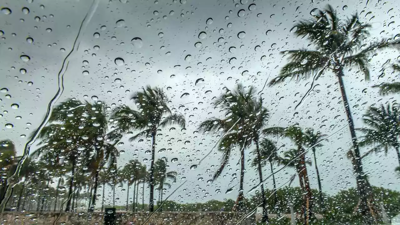 मेथी दाना खाने के फायदे सुन कर चौंक जाएंगे करें सही से यूज सेहत में आयेगा तेजी से सुधार