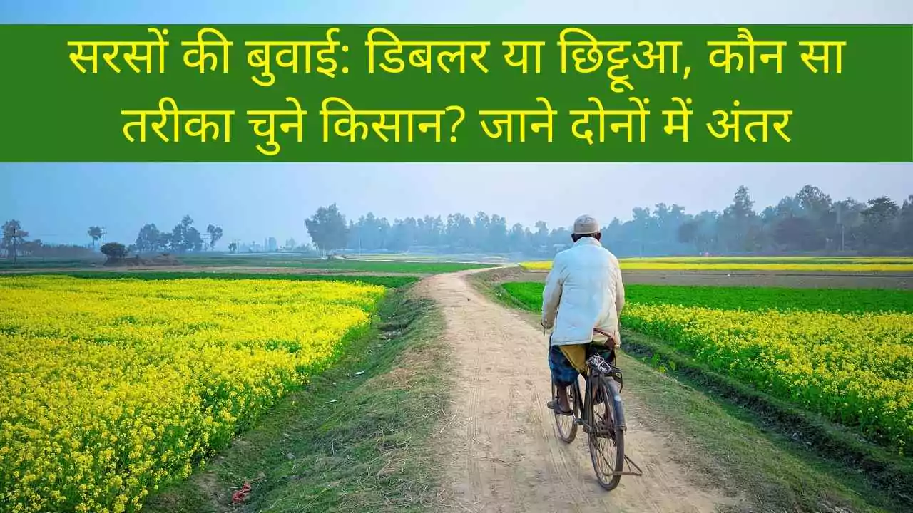 सरसों की बुवाई: डिबलर या छिट्टूआ, कौन सा तरीका चुने किसान? जाने दोनों में अंतर