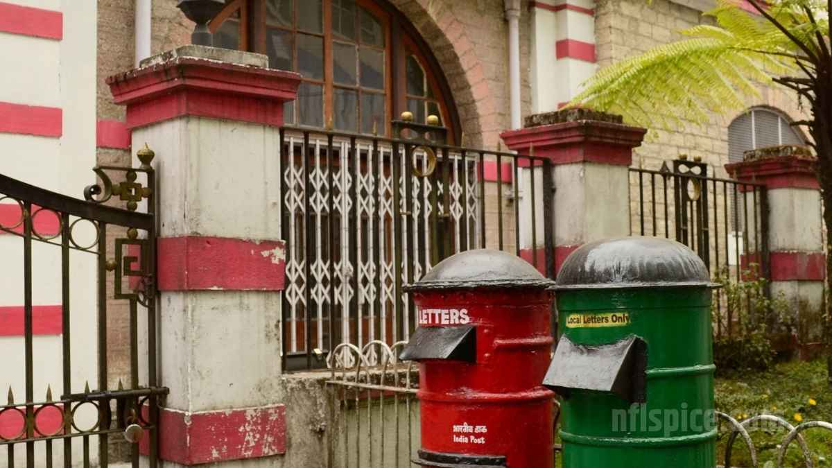 अमेरिका के लिए डाक सेवा बंद: ना चिट्ठी जायेगी और ना ही डिलीवरी होगा कोई तोहफा, ये बड़ी वजह आई सामने