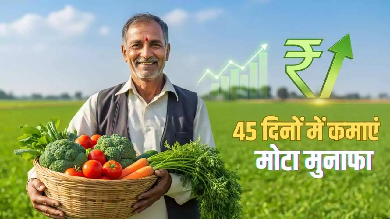 सितंबर में बोएं ये सब्जियां, 45 दिनों में कमाएं मोटा मुनाफा