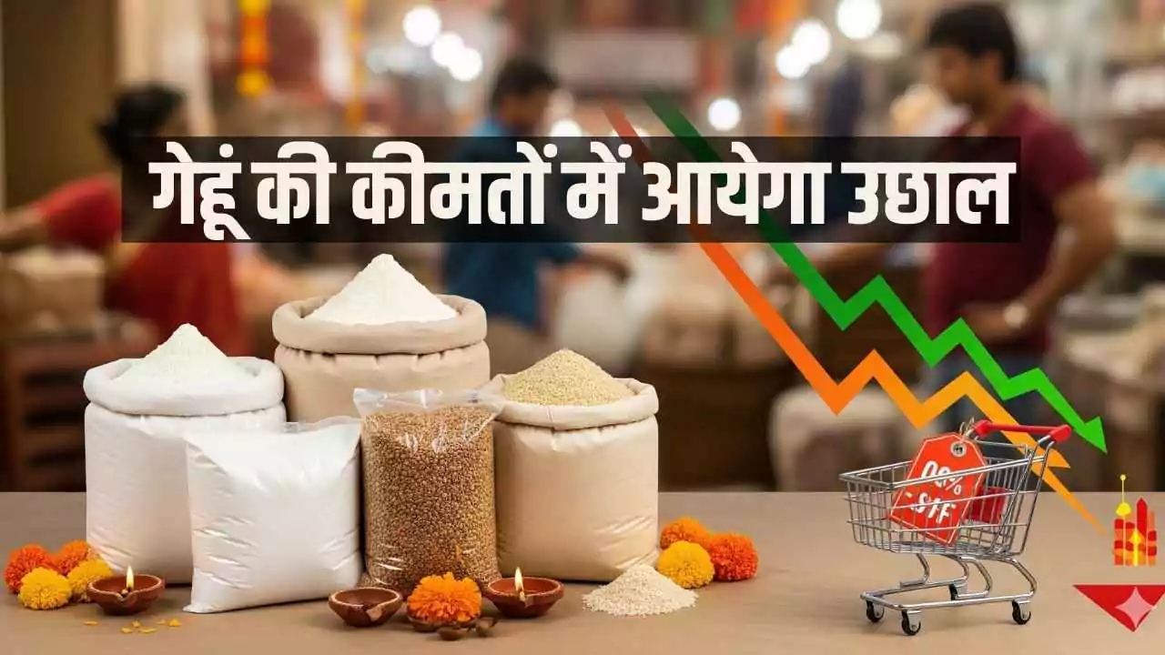 गेहूं की कीमतों में आयेगा उछाल! दिवाली तक किधर होगा रुख? जाने एक्सपर्ट की राय