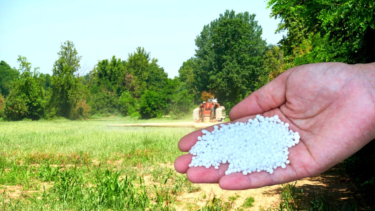 यूरिया छोड़ो, ये 5 जैविक खाद अपनाओ – फसल दोगुनी ओर खेत की मिट्टी होगी जवान!