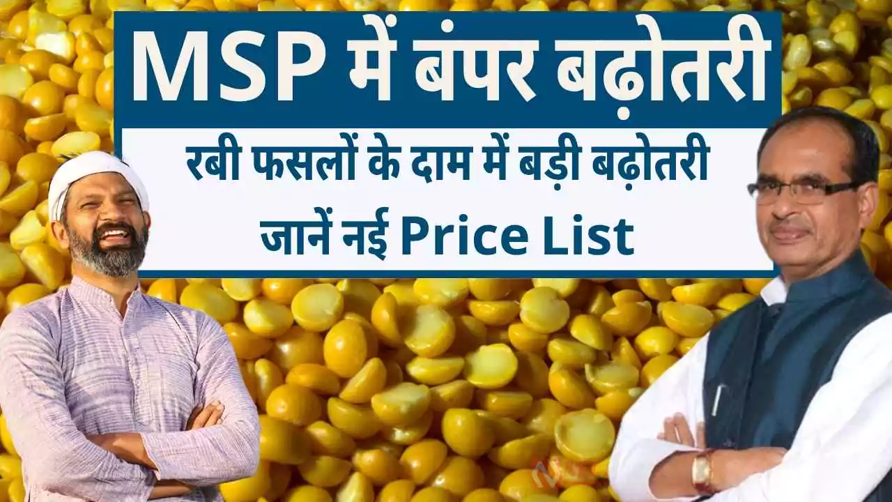 MSP New List 2026-27: MSP में बंपर इजाफ़ा, रबी फसलों के दाम में बड़ी बढ़ोतरी, जानें नई Price List