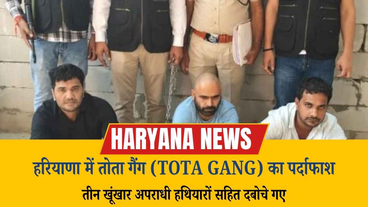 Haryana News: हरियाणा में तोता गैंग (Tota Gang) का पर्दाफाश: तीन खूंखार अपराधी हथियारों सहित दबोचे गए