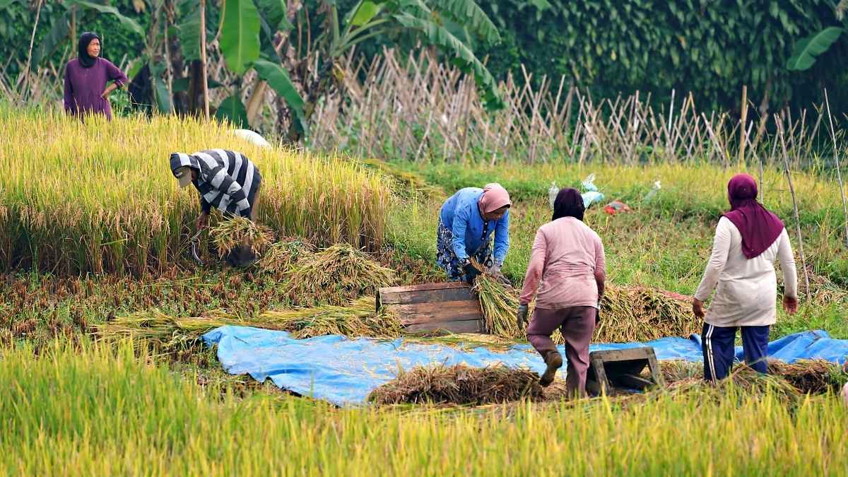 हरियाणा में PM किसान सम्मान निधि पर सवाल: 44 हजार दंपती और हजारों पुराने मालिक अब भी ले रहे पैसे!