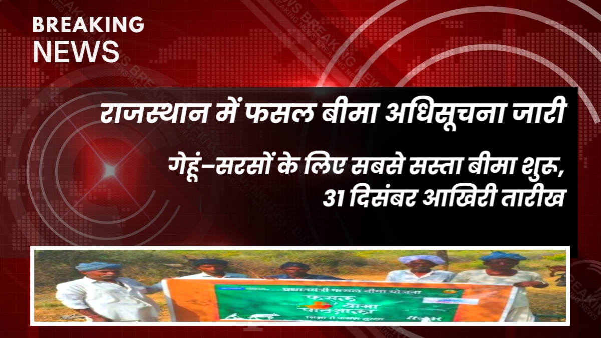 Rajasthan Rabi 2025–26: गेहूं–सरसों के लिए सबसे सस्ता बीमा शुरू, 31 दिसंबर आखिरी तारीख—किसानों को मिलेगी बड़ी राहत