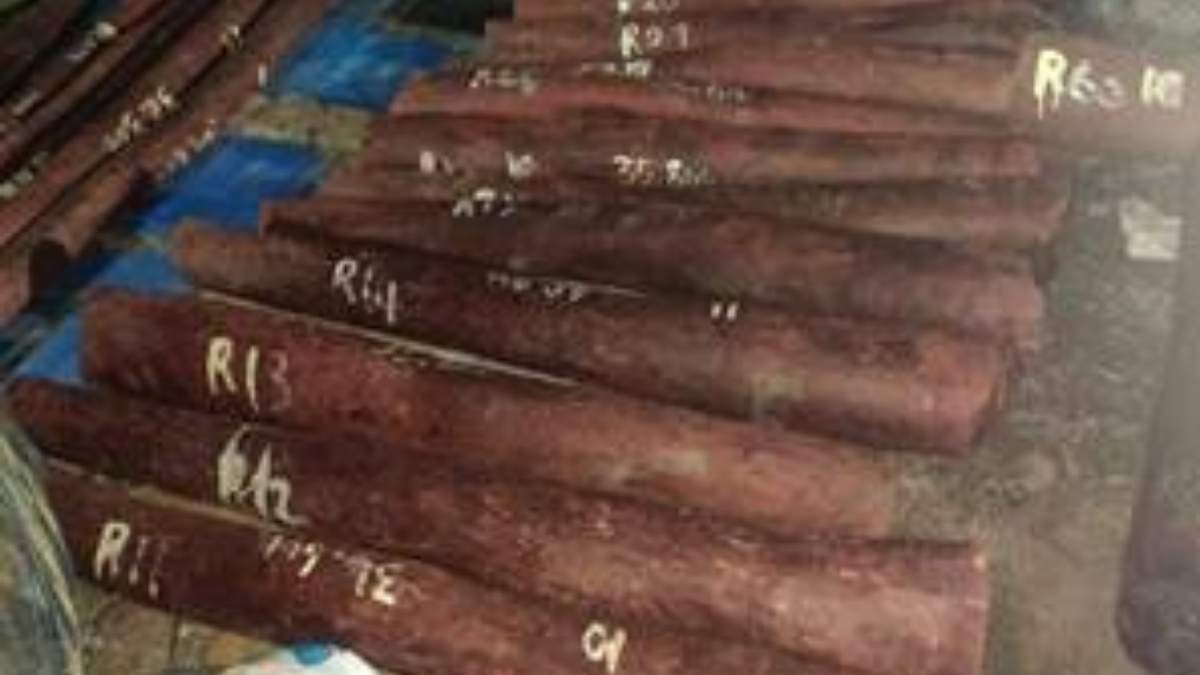 स्पोर्टी लुक और एडवांस फीचर्स के साथ आई Yamaha Ray ZR 125 Fi हाइब्रिड , जानें डिटेल्स में