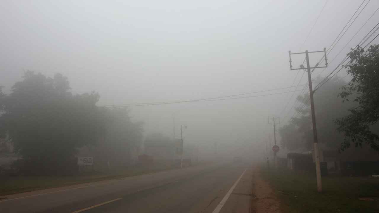 हरियाणा में हाड़ कंपा देने वाली ठंड और घना कोहरा: 10 जिलों में ऑरेंज अलर्ट, नए साल से बारिश की उम्मीद – जानें पूरा अपडेट