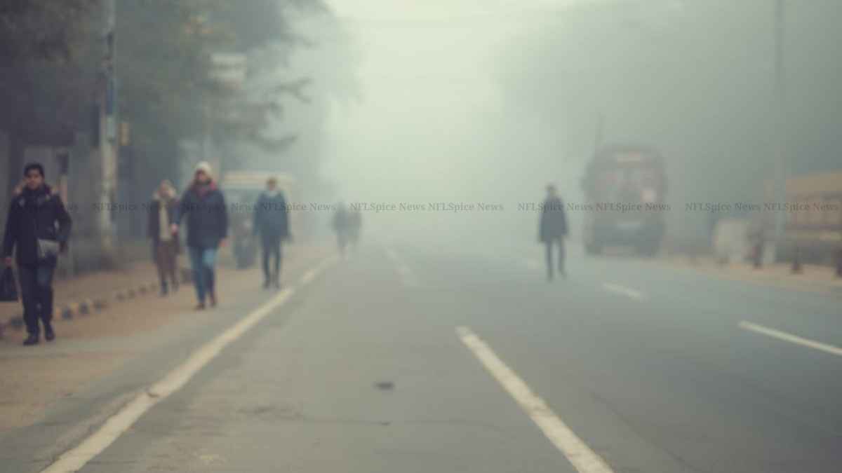 10 मीटर तक सिमटी दृश्यता: हरियाणा में फिर लौटी गहरी धुंध, हिसार सबसे ठंडा