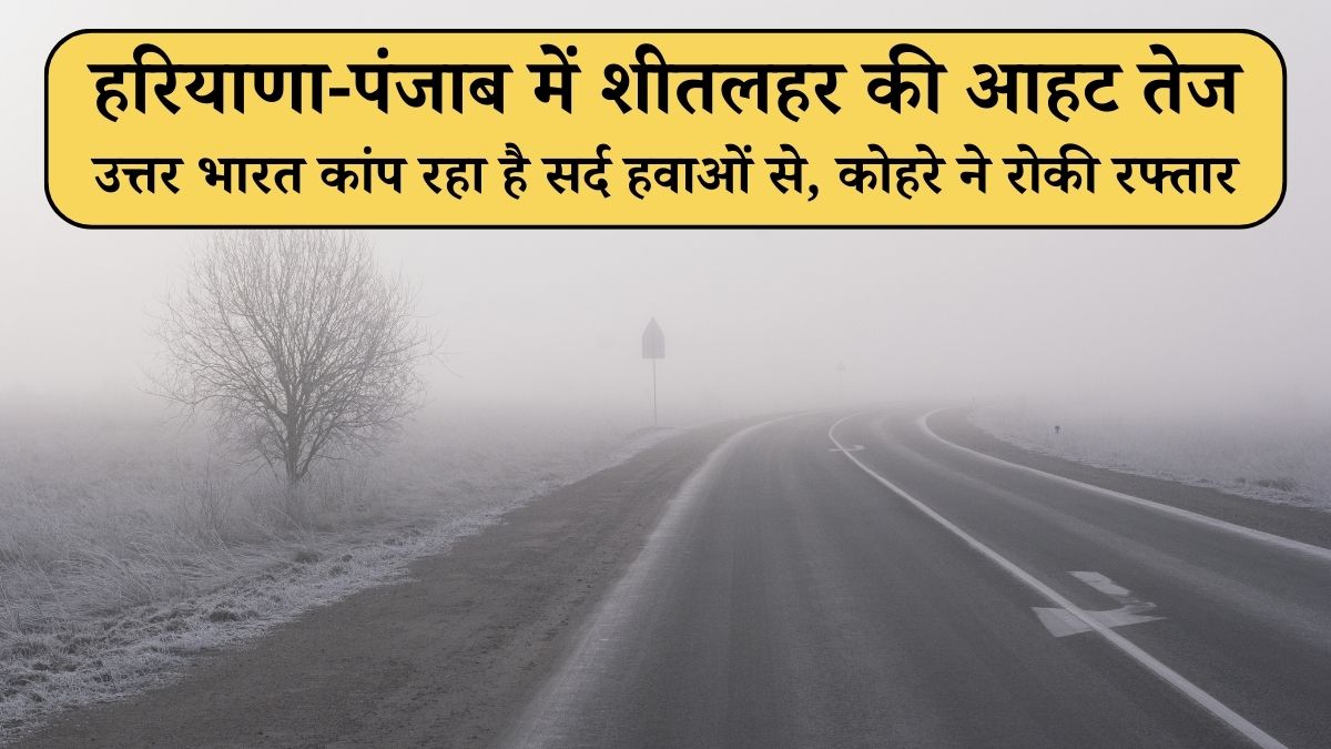 हरे ने रोकी रफ्तार: हरियाणा-पंजाब में शीतलहर की आहट तेज