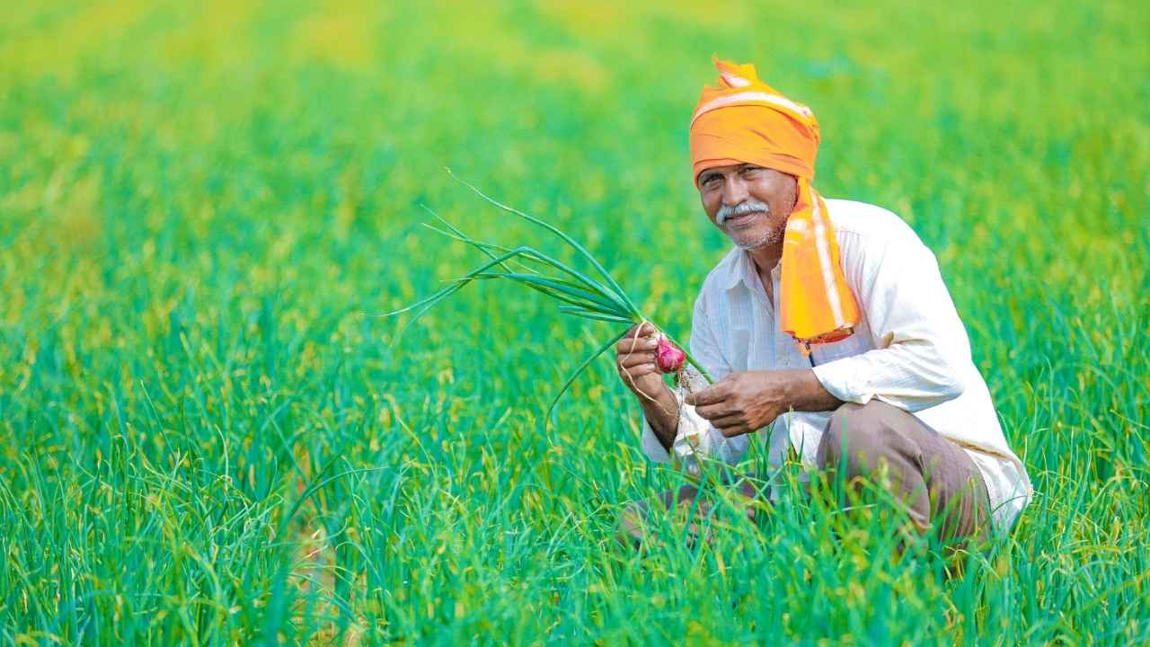PM Kisan 22वीं किस्त पर बड़ा अपडेट: फरवरी 2026 में आएंगे ₹2000? जानिए पूरी तैयारी