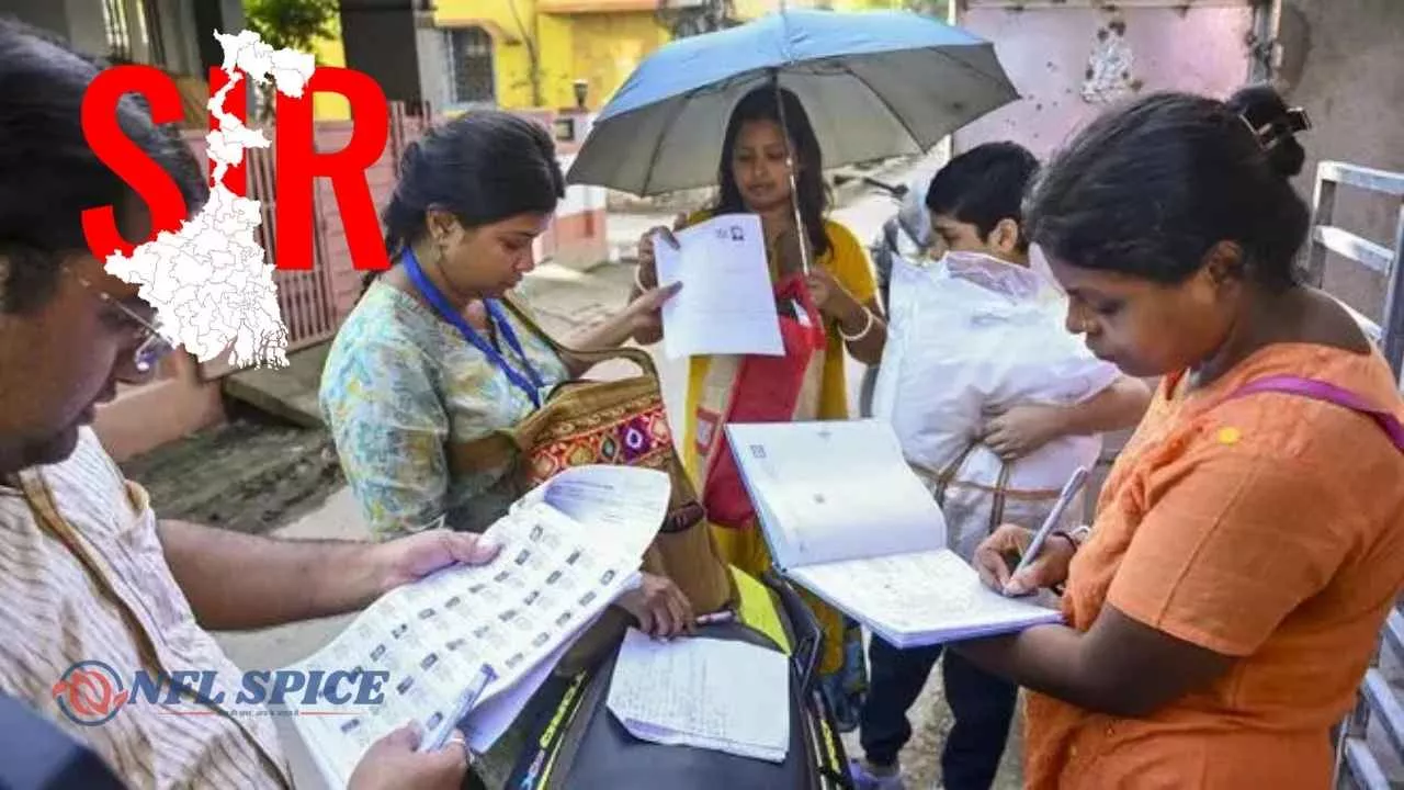 Shreeji Shipping IPO आया चर्चा में , जानें वित्तीय स्थिति और कंपनी की लिस्टिंग की प्रक्रिया डिटेल्स में