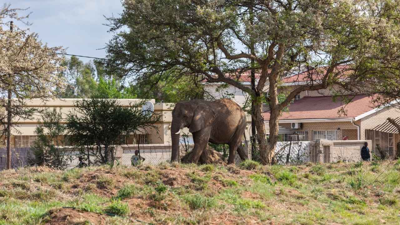 शाओमी HyperOS 3 को 28 अगस्त को किया गया पेश , ऐड हुए कई सेफ्टी फीचर्स , जानें डिटेल्स